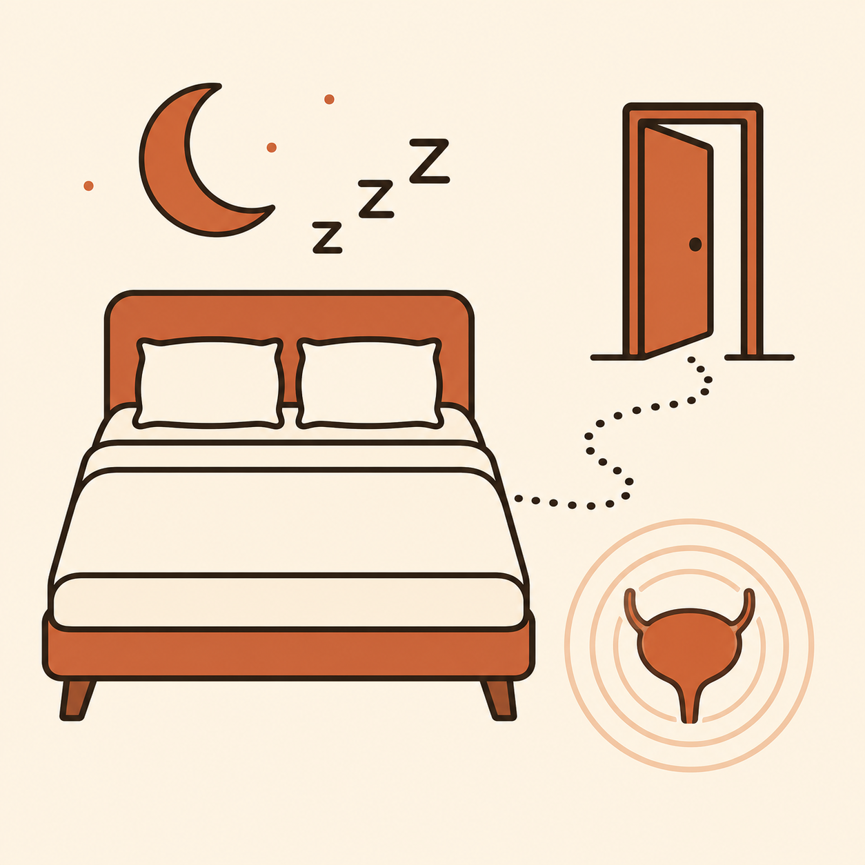 Stage 4 — Broken Sleep (Nocturia sets in)